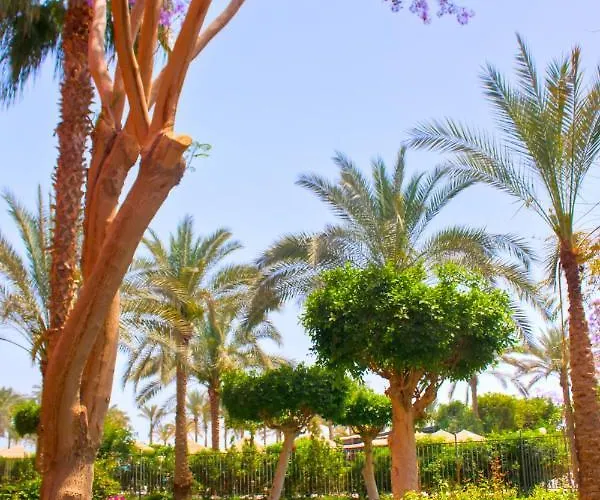 Kefi Palmera El Sokhna - Family Only Resort 3*